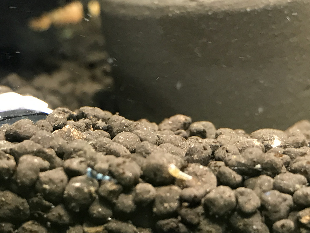 A1C76B0C-681C-40C1-BF13-3C5607D3CEB3