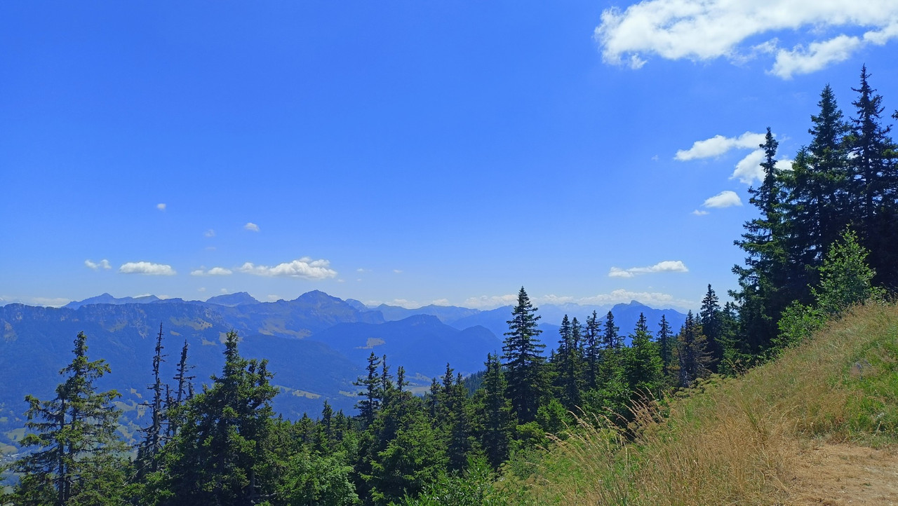 IMG20250711135900 (Large)