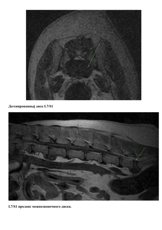 1D97E596-D786-4737-94C6-6B57FB9D95BB