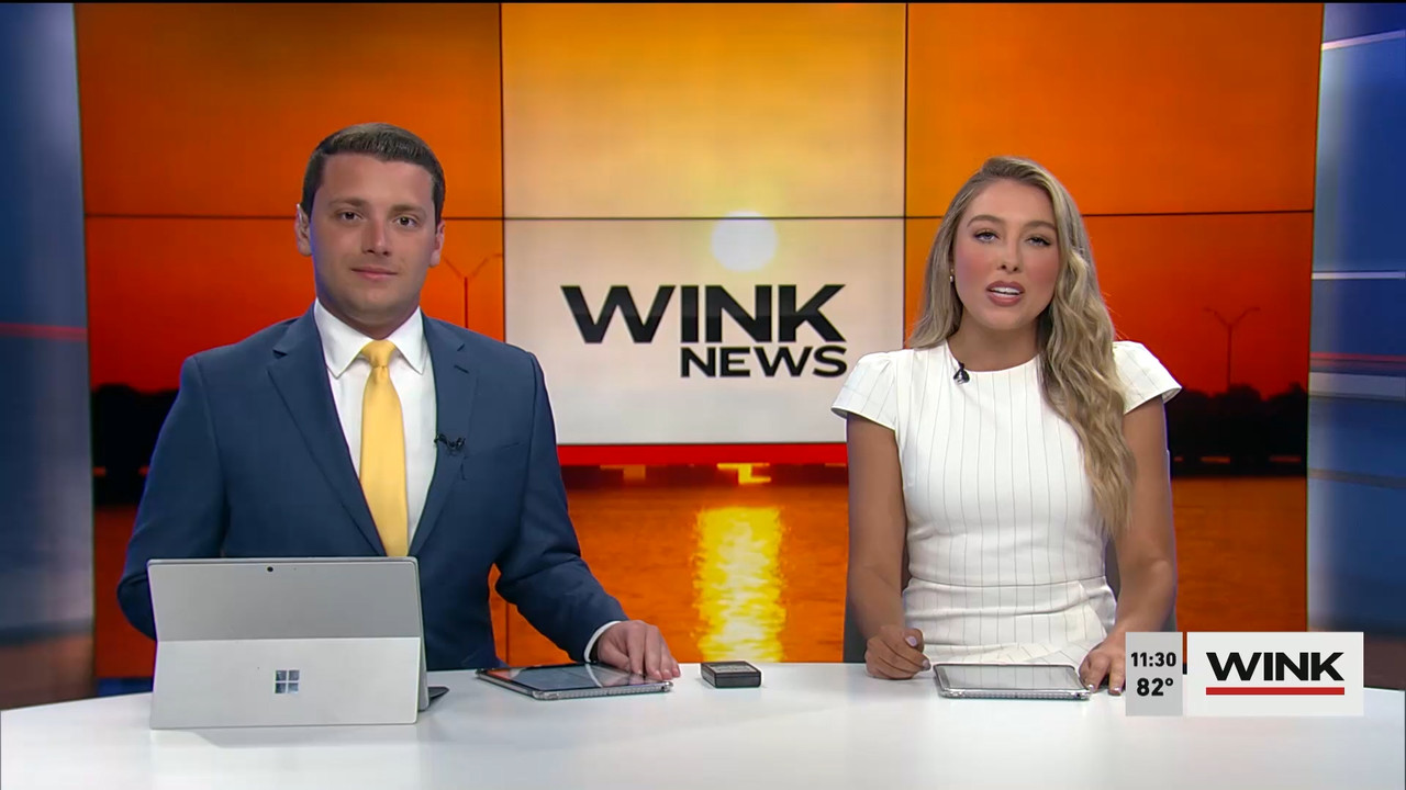04.02 - 16.30.00 - WINK NEWS at 11 30am  ᴺᵉʷ. Midday news..ts_snapshot_06.57.385
