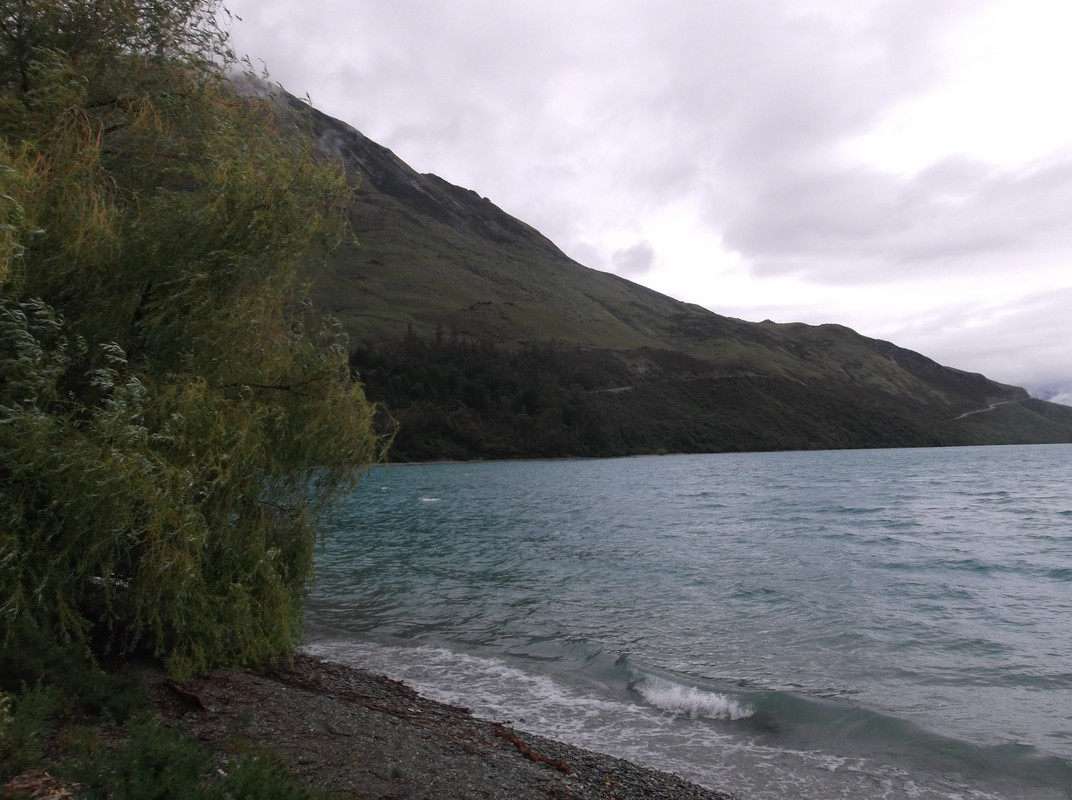 DSCF0140