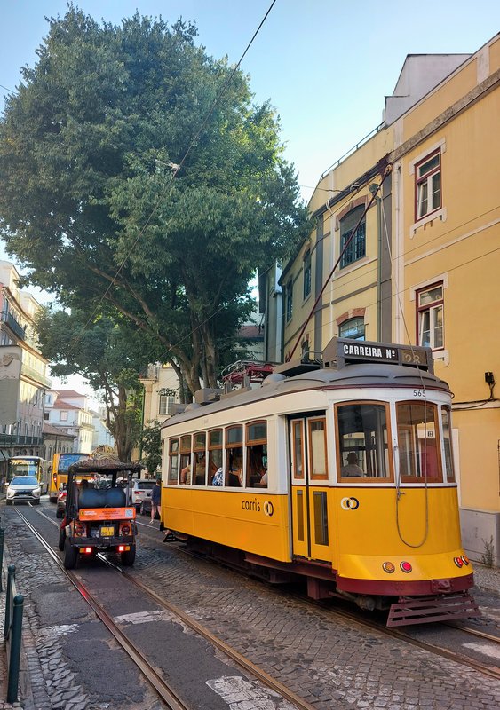 Slika