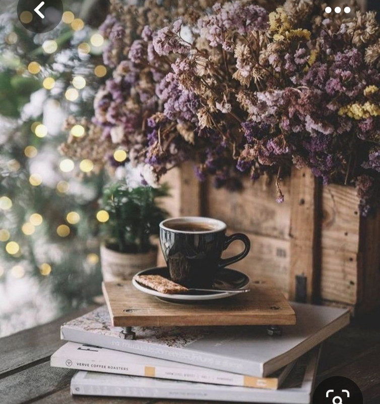 Screenshot_20230616_131923_Pinterest