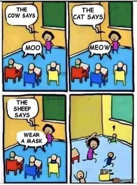 83685-A38-AF3-C-4209-B1-A1-253579674-FB0