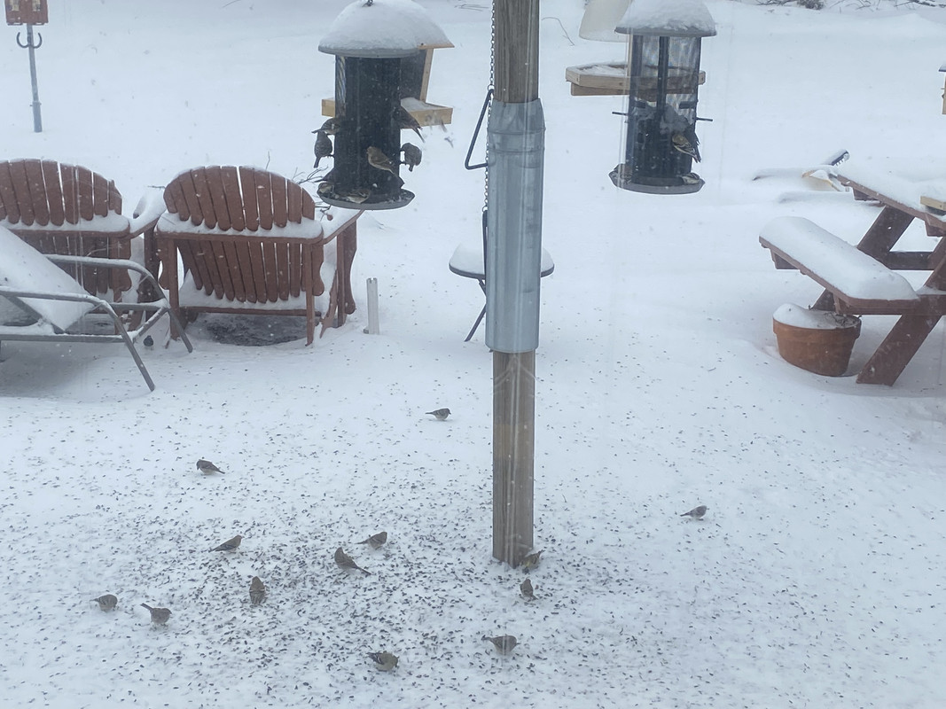 A876E86E-2B20-4472-9703-660B9B76D70A