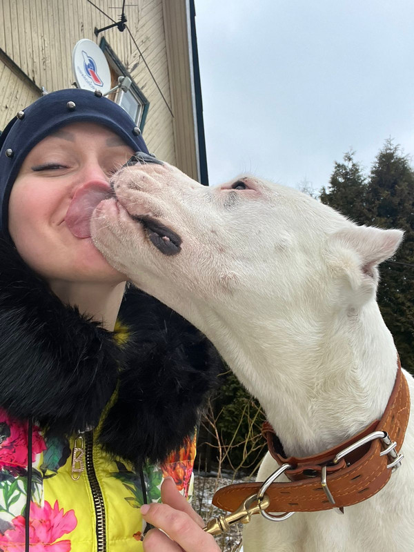 4DC87534-DDA6-4912-B618-773972FDF9AD