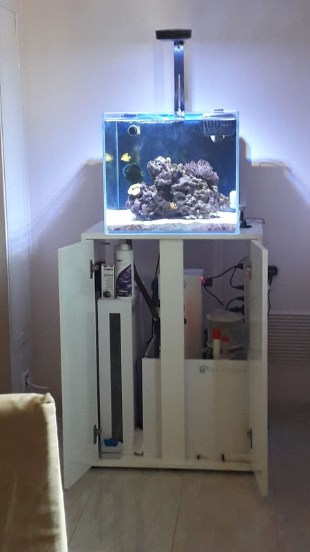 3BE892AE-E844-4EAD-B2BB-5BADAA28A335