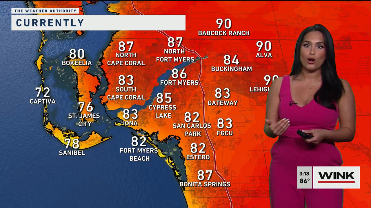 03.24 - 19.00.00 - WINK News at 3pm  ᴺᵉʷ..ts_snapshot_00.19.52.306