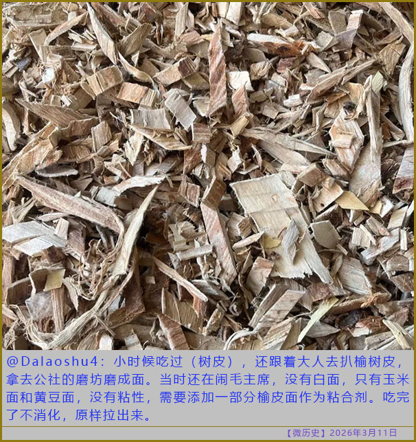 https://i.postimg.cc/jSwXXsYV/20260311-ls-(5).jpg