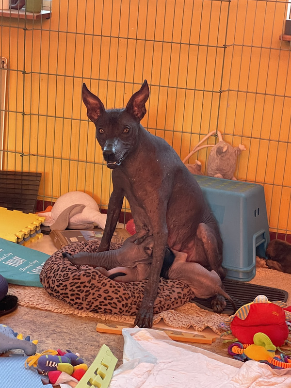 0DE4DBA7-D256-428B-AF50-F936539D45C1