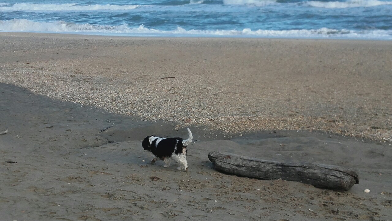 6834F902-C47B-47DD-8F83-35A99D8C57E8