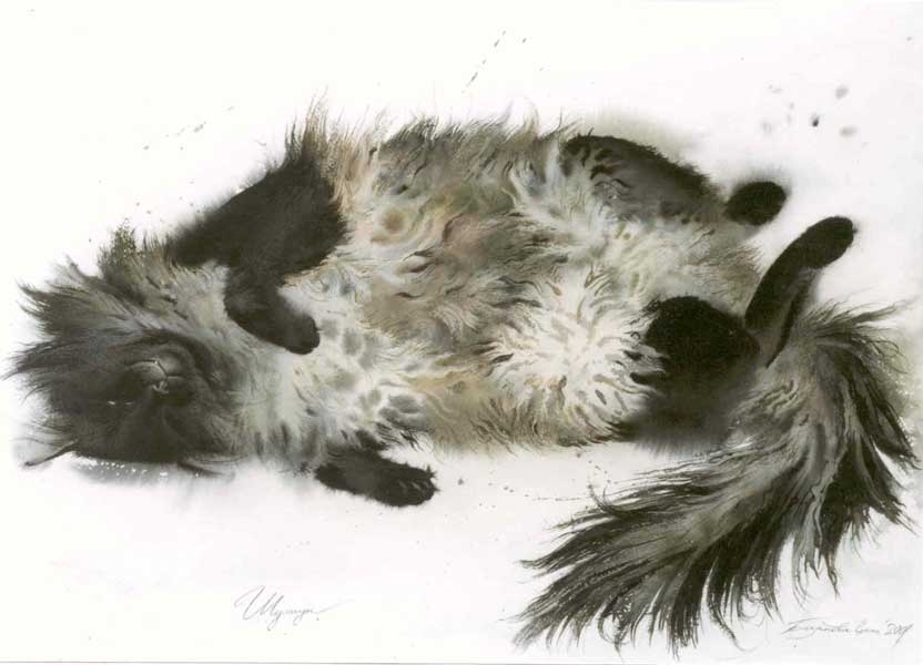 cat4