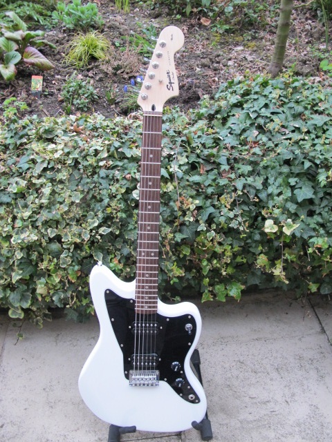 Fret Polishing  Squier-Talk Forum