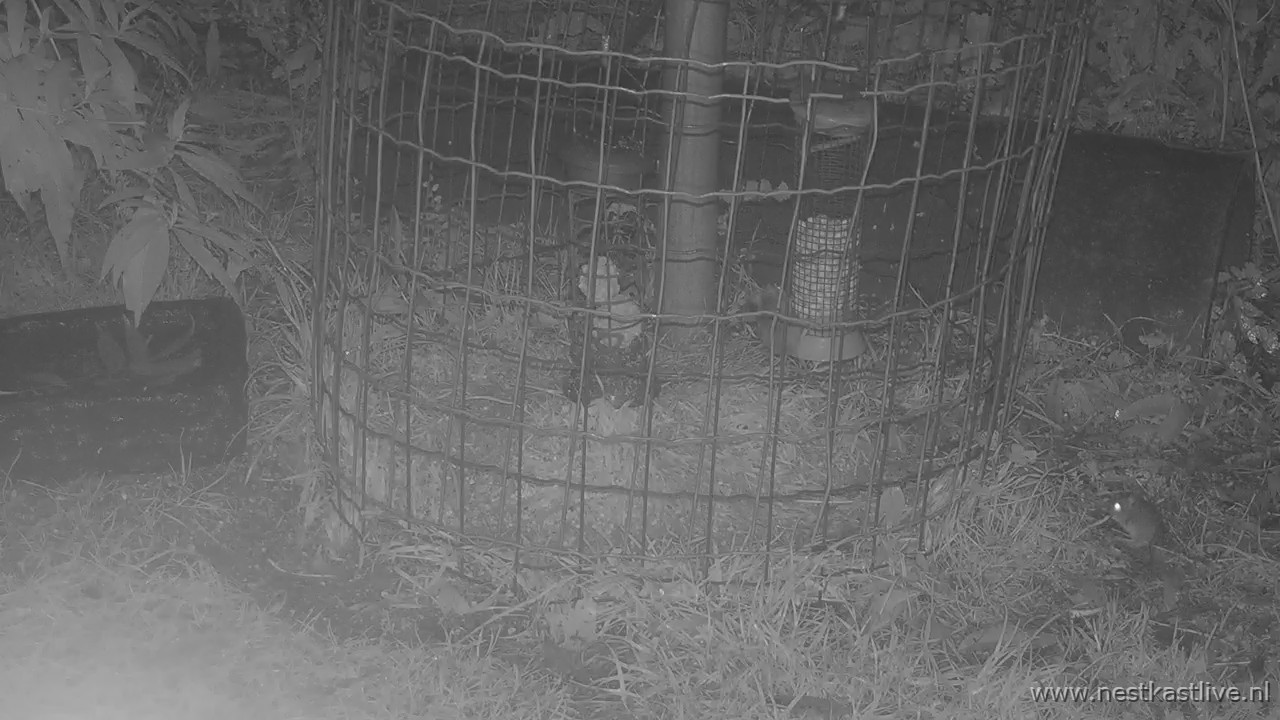 snapshot 2025 11 15T204826 152