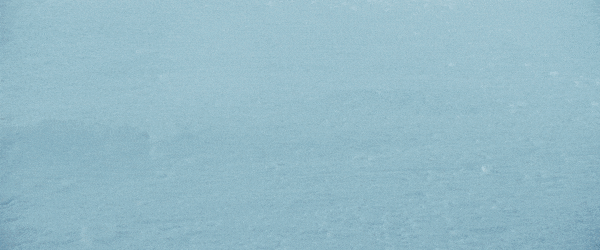 https://i.postimg.cc/jSxMqD4T/10.gif