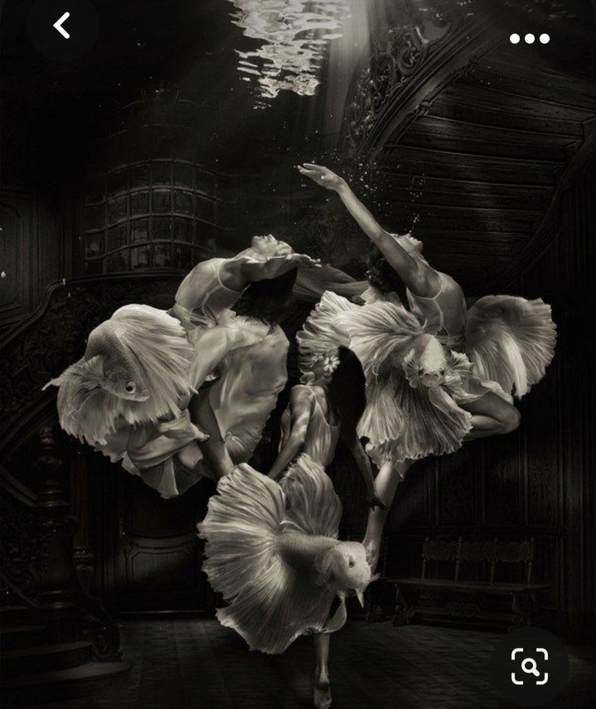 Screenshot_20231025_164120_Pinterest