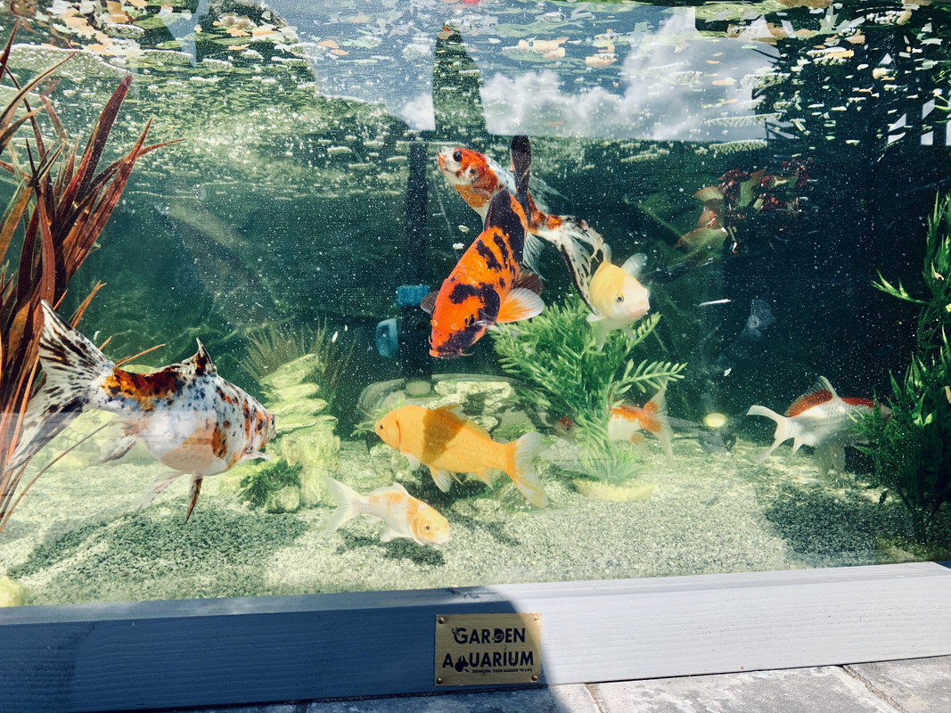 9C7E9BDC-18A4-4D75-84B5-5D235B53E90C