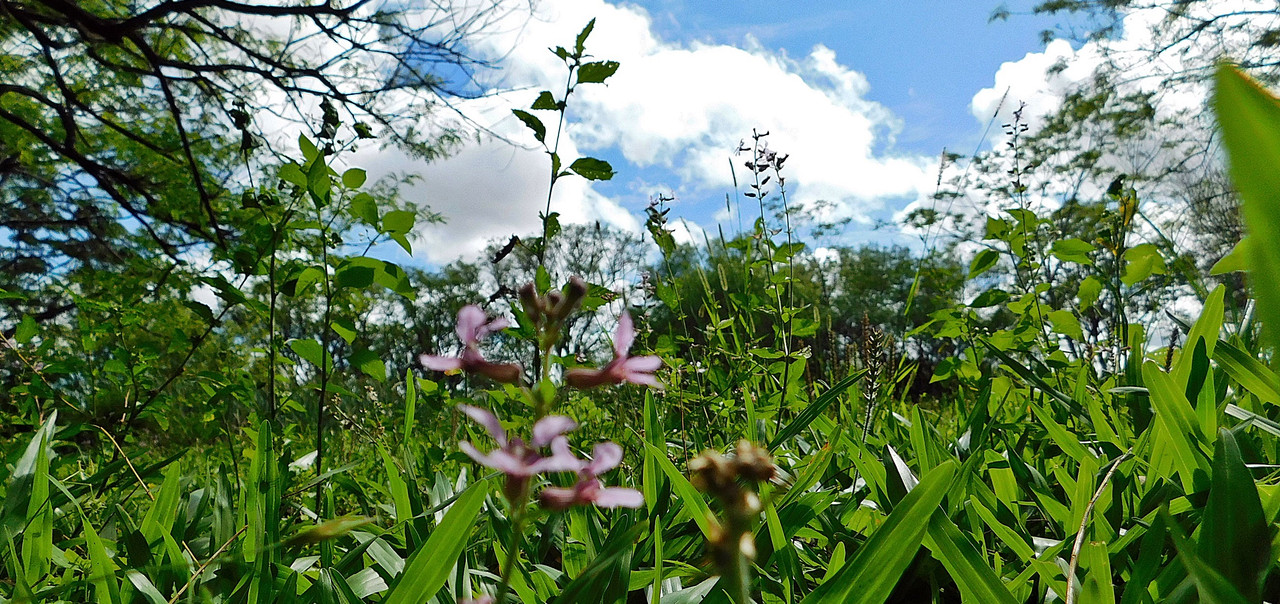 DSCN0210