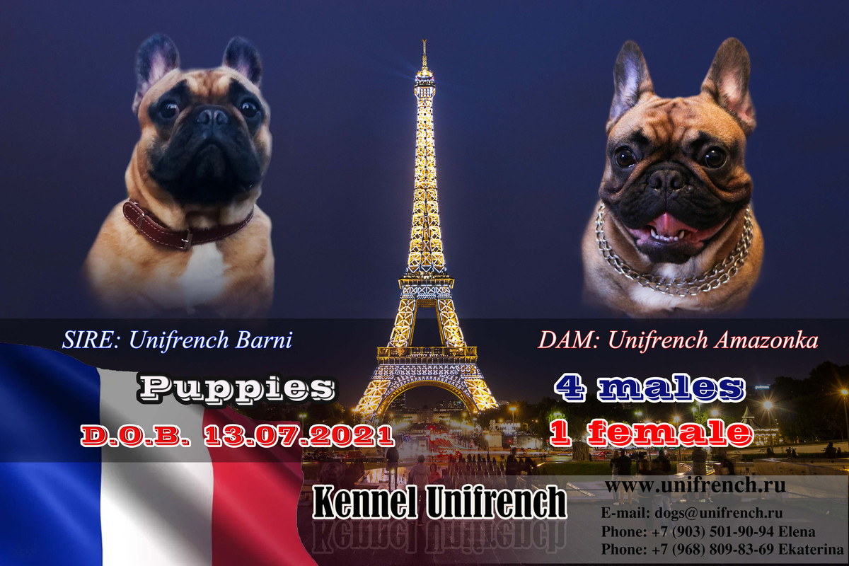 БАРНИ И АЗА ПРЕЗЕТАЦИЯ