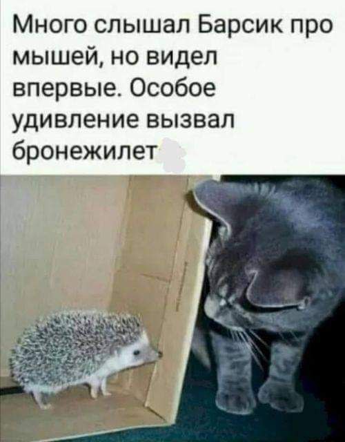 https://i.postimg.cc/jSy8sr8L/441524627-809754564536561-4194477725214948301-n.jpg