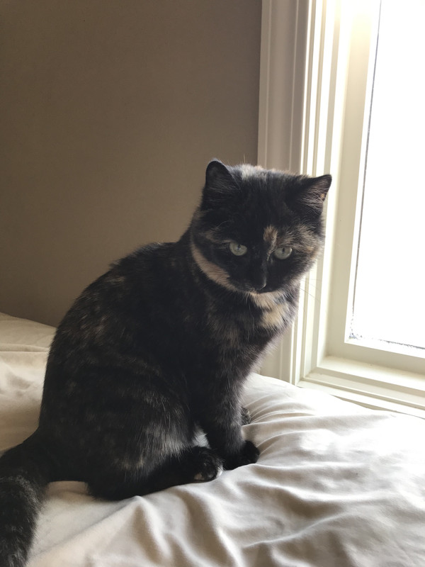 6917D658-9769-47EC-95B8-4E68E33EA0A6