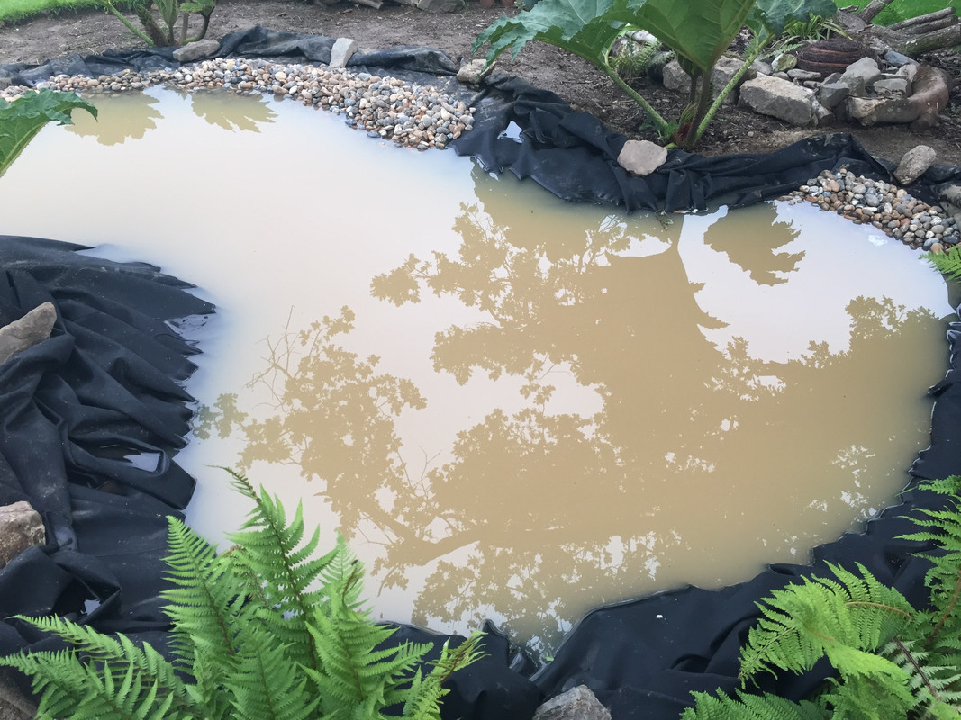 9FCC1C4B-D42D-47C4-96E6-275FB43FC96F