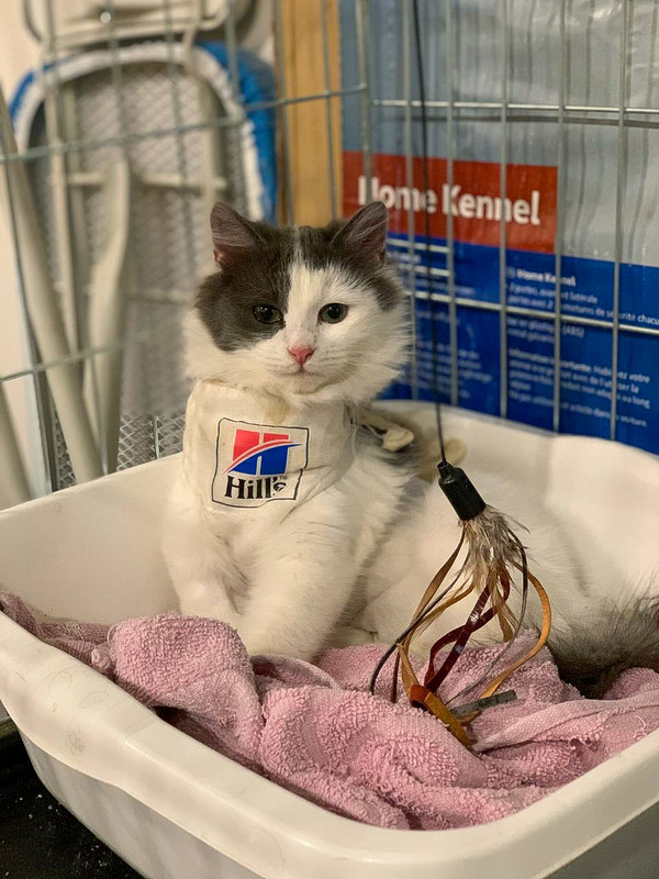 714294EF-1004-4FCE-A246-DD1B7CC18500