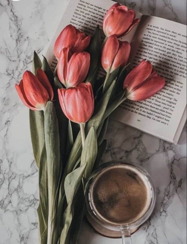 Screenshot_20221213-210141_Chrome