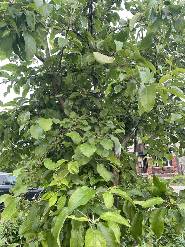 66830A43-B8EB-4387-A5C2-F5D32EA8426E