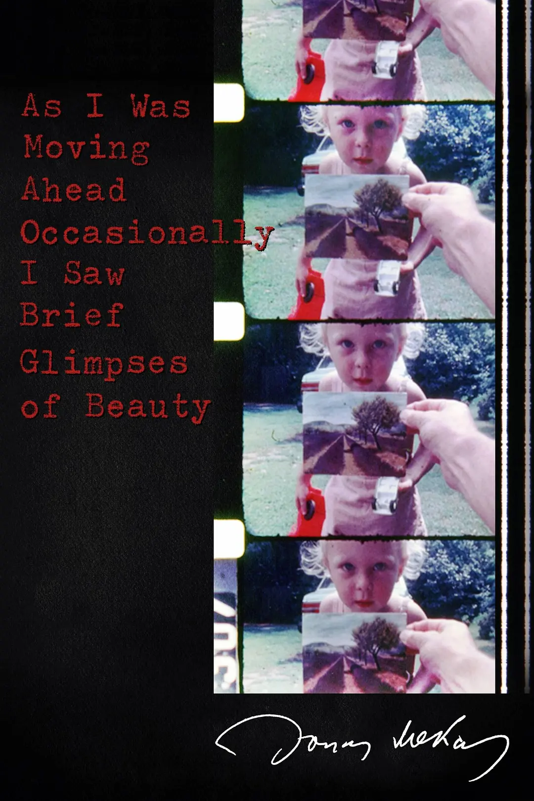 [1718] 当我往前走之时偶尔会瞥到一缕美丽之景 / As I Was Moving Ahead Occasionally I Saw Brief Glimpses of Beauty (2000)-131417.net