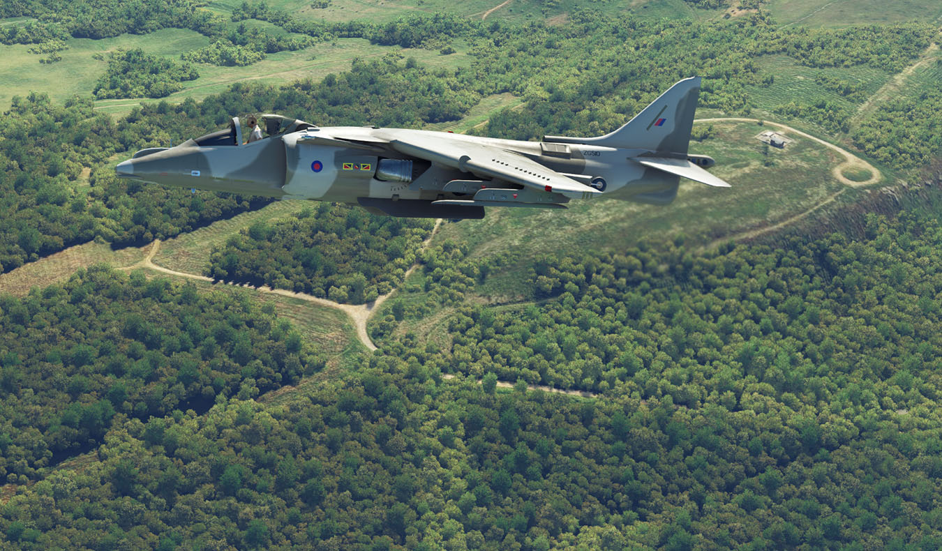 Harrier-Wales-06-1350.jpg?dl=1