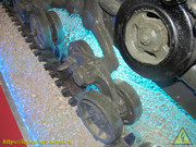 IMG-7354
