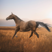 B758D162-6EF7-4AEB-BDFB-9F58A9D68E8B