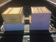 16-7FA78CFF-720F-45CA-B87C-7B74774009B6