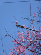 photo 11 2025 12 12 15 26 37