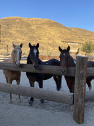 119CBE72-02D9-46CC-8E9C-902EE14BB4DB