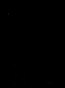 202601_diff_dt_2g