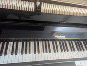 16a587bb8e495fa44e05f8a7c202a50b6a247193