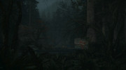 Alan-Wake2-2026-06-12-21-33-48-468