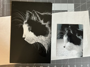 Scratchboard