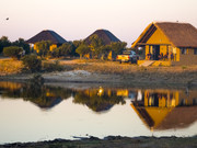 Golden Sunset Tours Wildlife Elephant