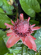 IMG-6452