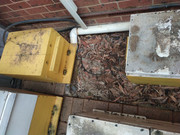 photo_2021-07-28_08-31-31