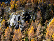 PA293113