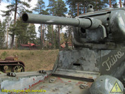 IMG-6351