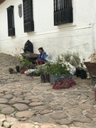 IMG-8457