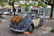 IMG-6548