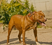 Screenshot_20230710_170233_Gallery