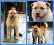 Be-Funky-collage-16.jpg&key=6db2a28ffa7e