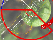 FSC expansion of space_kindlephoto-12588423